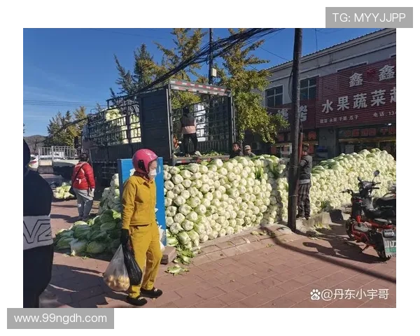 2025年白菜的市场价格是多少？一斤多少钱？